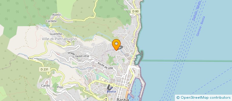 localisation de l'entreprise MONSIEUR HAYKEL MEJRI à BASTIA