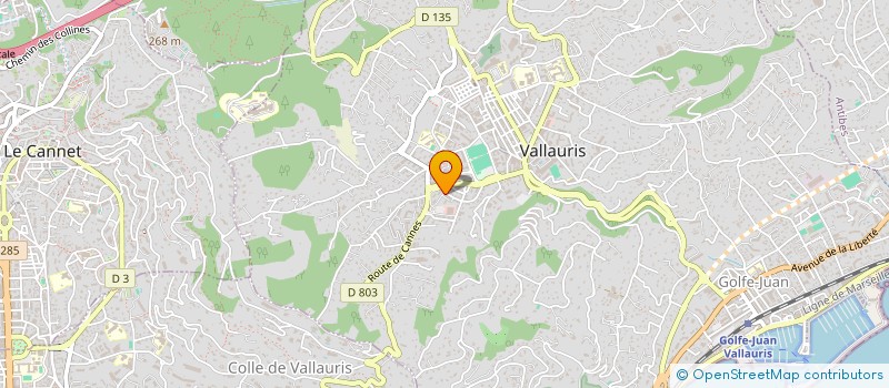 localisation de l'entreprise MONSIEUR HAZEM JBELI  VALLAURIS