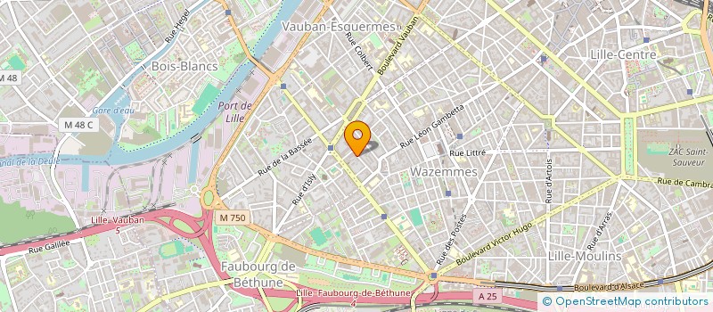 localisation de l'entreprise MONSIEUR HECTOR BOUCHEZ  LILLE