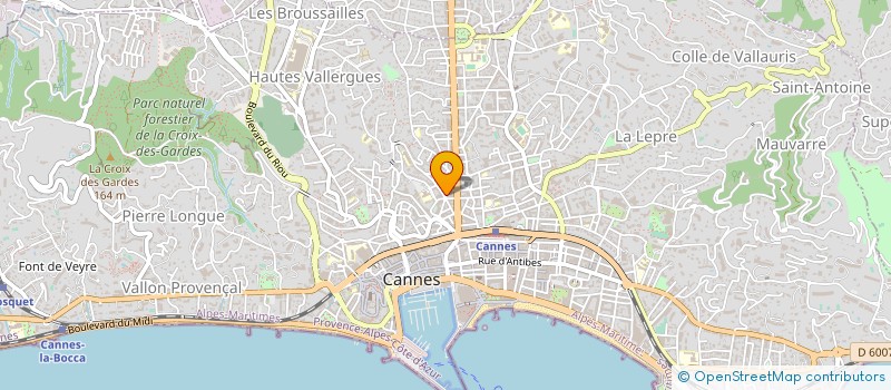 localisation de l'entreprise MONSIEUR HECTOR HADDAD à CANNES