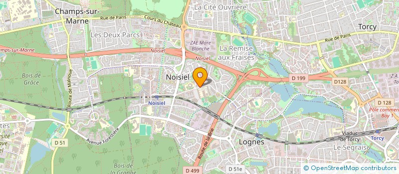 localisation de l'entreprise MONSIEUR HECTOR PIZARRO GONZALEZ  NOISIEL