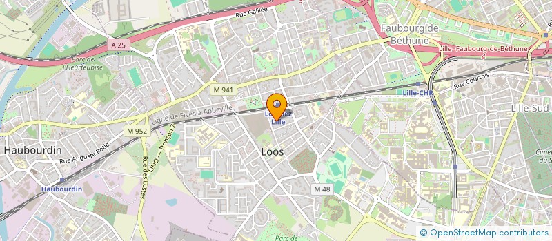 localisation de l'entreprise MONSIEUR HECTOR VILLEGA AREVALO  LOOS