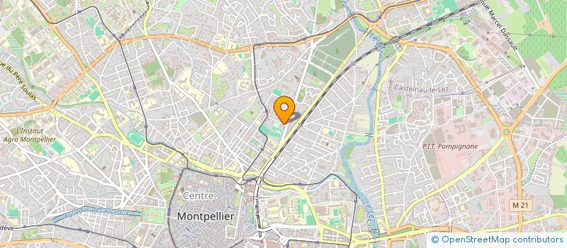 localisation de l'entreprise MONSIEUR HEDI RAOUAFI  MONTPELLIER