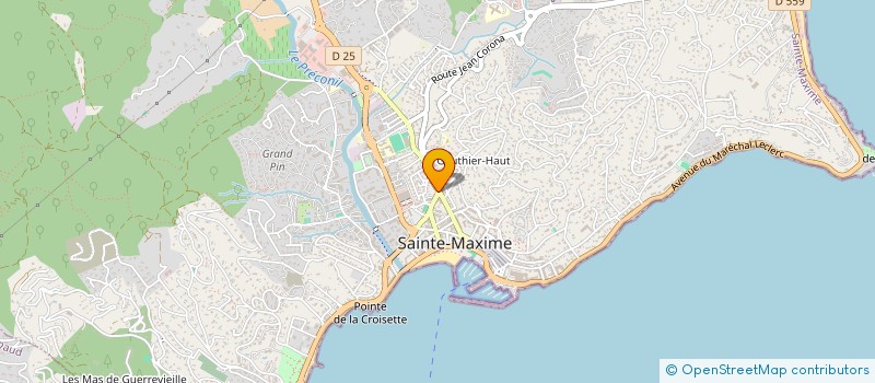 localisation de l'entreprise MONSIEUR HEDI TOUNSI à SAINTE-MAXIME