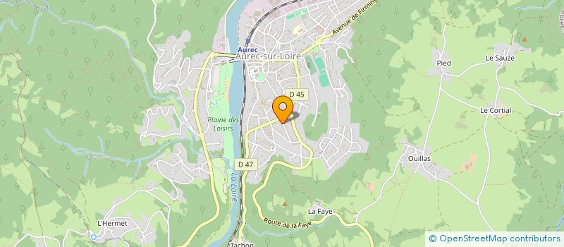 localisation de l'entreprise MONSIEUR HEINRICK VUILLERMET  BAS-EN-BASSET