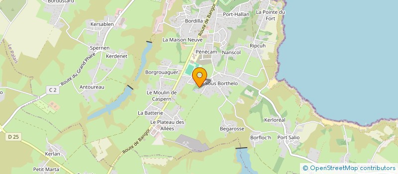localisation de l'entreprise MONSIEUR HELIE DE PLANTA DE WILDENBERG à LE PALAIS