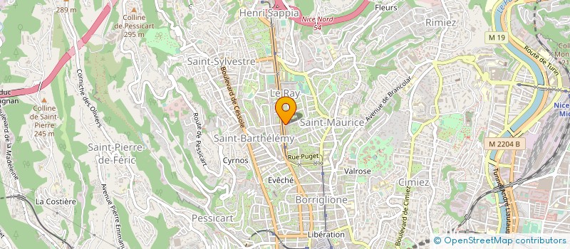 localisation de l'entreprise MONSIEUR HELMUT ALFREDO DOS SANTOS SOARES REIS MONTEIRO à NICE