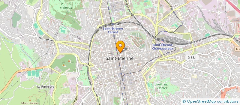 localisation de l'entreprise MONSIEUR HELOIS NUSSBAUMER  SAINT-ETIENNE