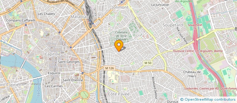 localisation de l'entreprise MONSIEUR HELSON RIVERA PENTON à TOULOUSE
