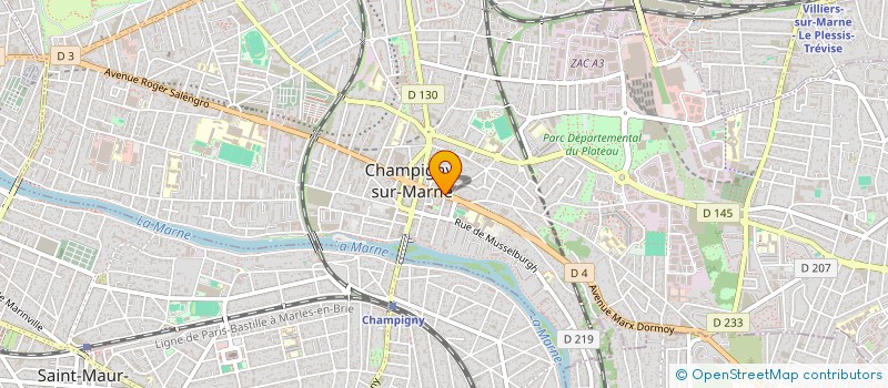 localisation de l'entreprise MONSIEUR HENDRICK LEIDSMAN  CHAMPIGNY-SUR-MARNE