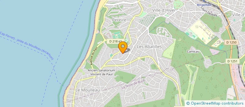 localisation de l'entreprise MONSIEUR HENNING STROM  ARCACHON