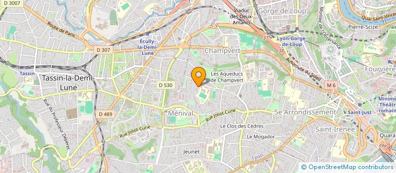 localisation de l'entreprise MONSIEUR HENRI ANDRE  LYON