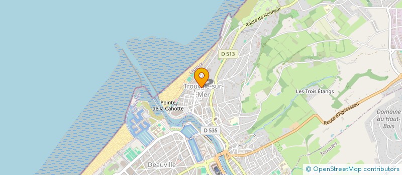 localisation de l'entreprise MONSIEUR HENRI AOUATE  TROUVILLE-SUR-MER