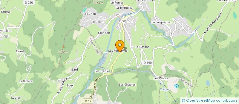 localisation de l'entreprise MONSIEUR HENRI BERTHET  FILLINGES