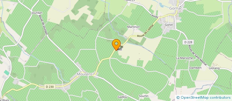 localisation de l'entreprise MONSIEUR HENRI BOUCHARDEAU  MOURENS