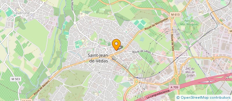 localisation de l'entreprise MONSIEUR HENRI BRISOUX à SAINT-JEAN-DE-VEDAS