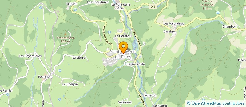 localisation de l'entreprise MONSIEUR HENRI CAPMAN  COURS