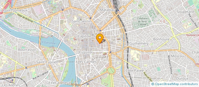 localisation de l'entreprise MONSIEUR HENRI CARRON  TOULOUSE