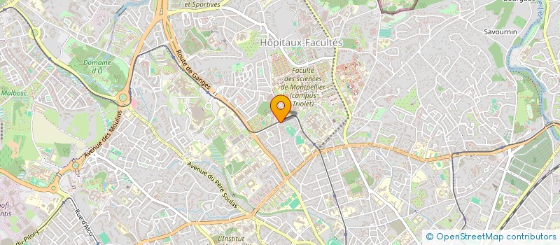 localisation de l'entreprise MONSIEUR HENRI CESPEDES à MONTPELLIER