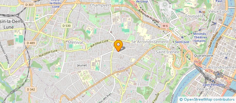 localisation de l'entreprise MONSIEUR HENRI CHAIX  LYON