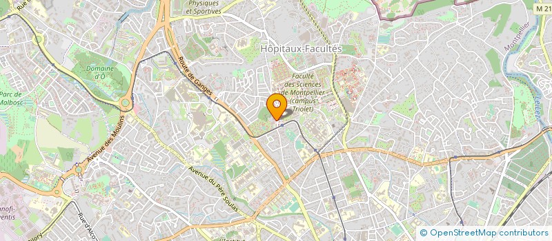 localisation de l'entreprise MONSIEUR HENRI CHAKTEMER à MONTPELLIER