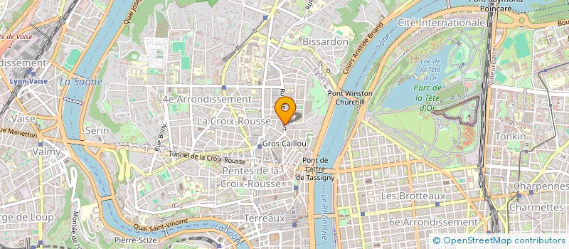 localisation de l'entreprise MONSIEUR HENRI CHANUT  LYON