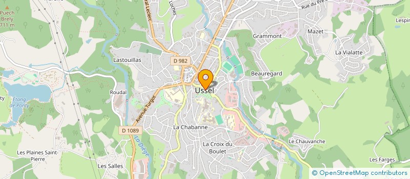 localisation de l'entreprise MONSIEUR HENRI CHASSAGNE à USSEL