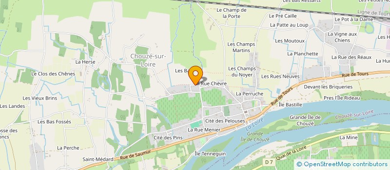 localisation de l'entreprise MONSIEUR HENRI DANTIC à CHOUZE-SUR-LOIRE