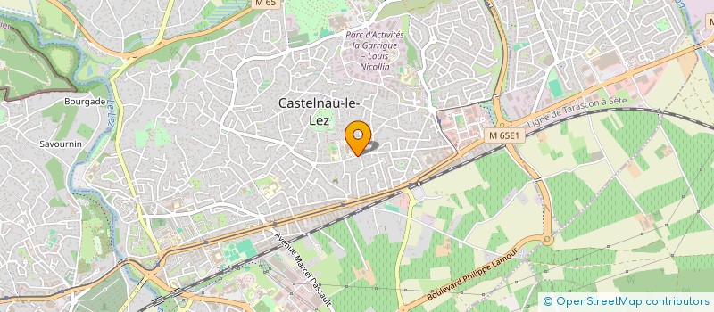 localisation de l'entreprise MONSIEUR HENRI DARASSE à CASTELNAU-LE-LEZ