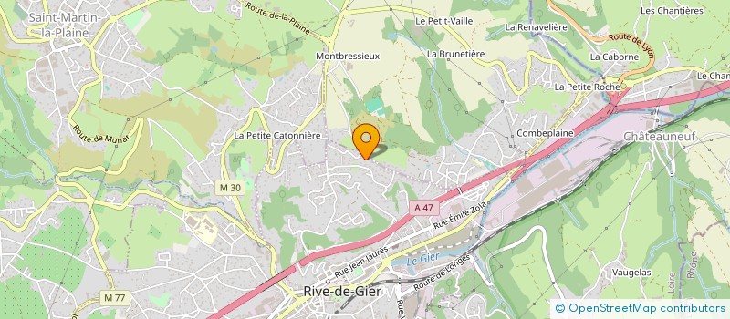 localisation de l'entreprise MONSIEUR HENRI DETTINGER à RIVE-DE-GIER