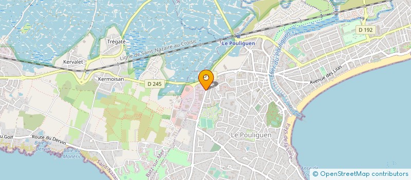 localisation de l'entreprise MONSIEUR HENRI DOUSSET  LE POULIGUEN