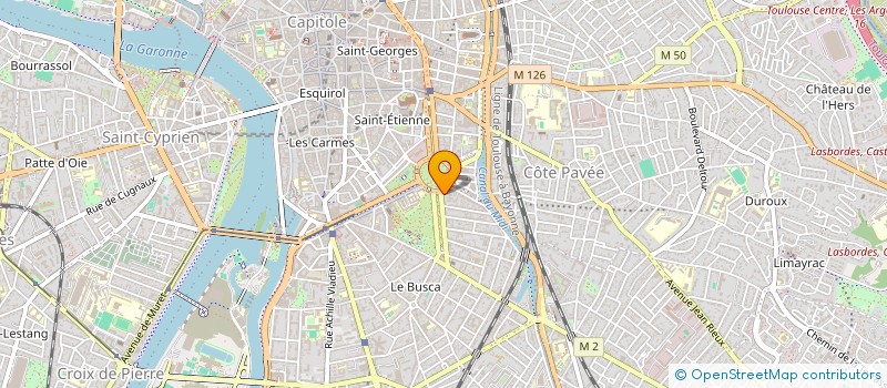 localisation de l'entreprise MONSIEUR HENRI DUMAS  TOULOUSE