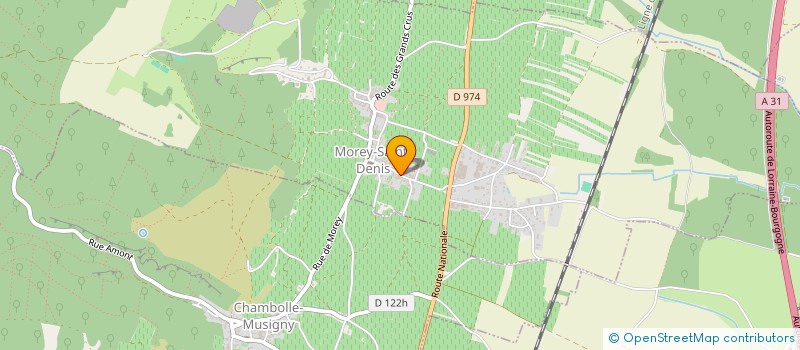 localisation de l'entreprise MONSIEUR HENRI GIBOURG  MOREY-SAINT-DENIS