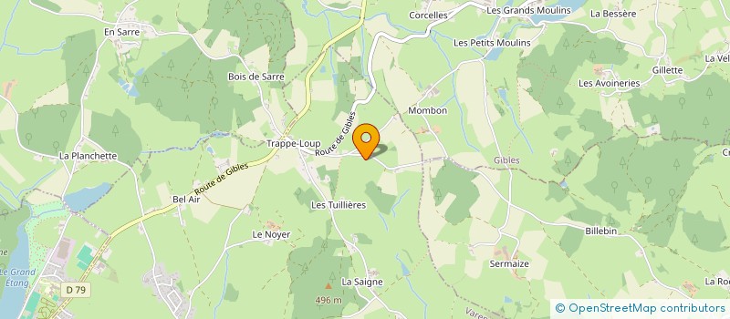 localisation de l'entreprise MONSIEUR HENRI GUILLOUX à GIBLES