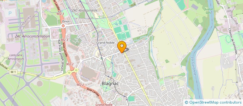 localisation de l'entreprise MONSIEUR HENRI LADOWICHT à BLAGNAC