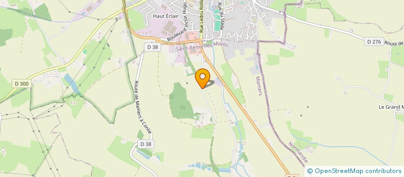 localisation de l'entreprise MONSIEUR HENRI LECUREUR  SAINT-REMY-DES-MONTS