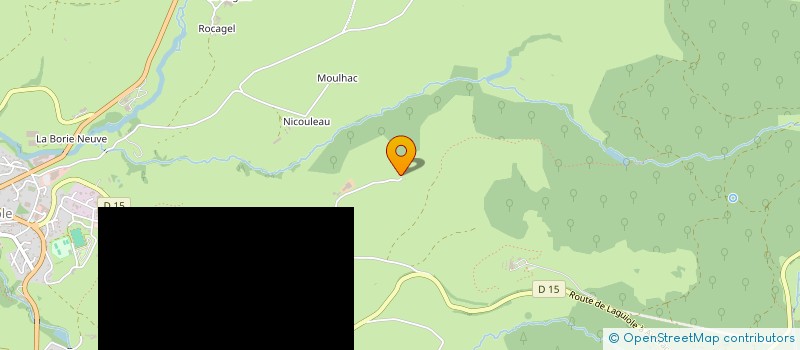 localisation de l'entreprise MONSIEUR HENRI LONG  LAGUIOLE