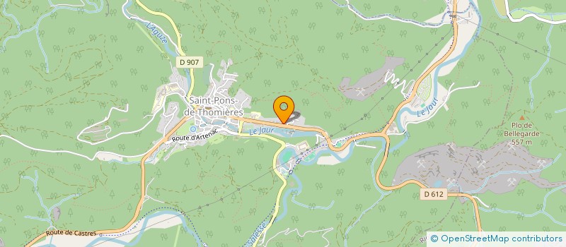 localisation de l'entreprise MONSIEUR HENRI LOYE  SAINT-PONS-DE-THOMIERES