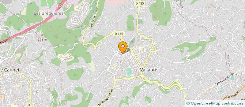 localisation de l'entreprise MONSIEUR HENRI MERGOUX à VALLAURIS