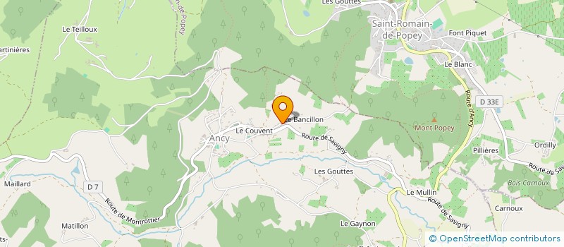 localisation de l'entreprise MONSIEUR HENRI MICHALLET à SAINT-ROMAIN-DE-POPEY