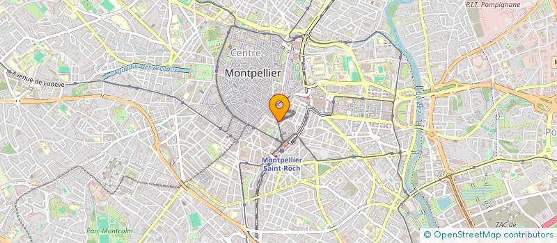 localisation de l'entreprise MONSIEUR HENRI MOUCHET à MONTPELLIER