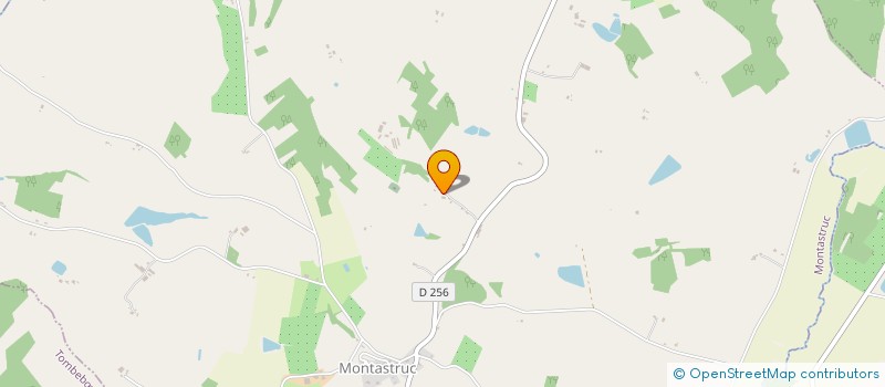 localisation de l'entreprise MONSIEUR HENRI PEYNET  MONTASTRUC