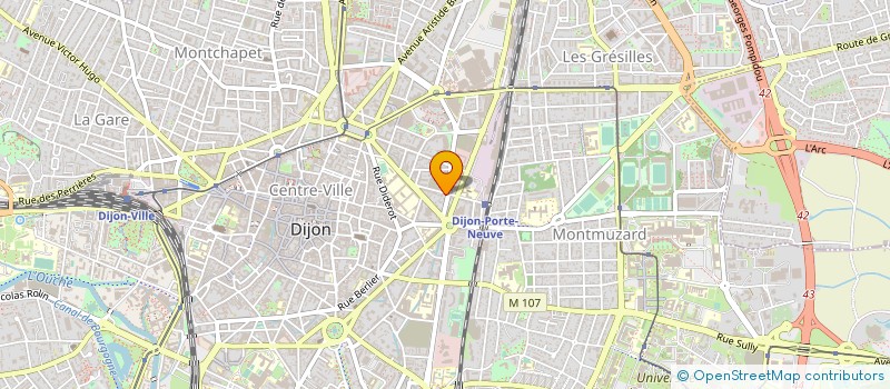 localisation de l'entreprise MONSIEUR HENRI PLANSON à DIJON