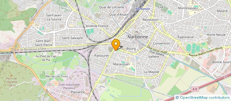 localisation de l'entreprise MONSIEUR HENRI SANTIAGO  NARBONNE