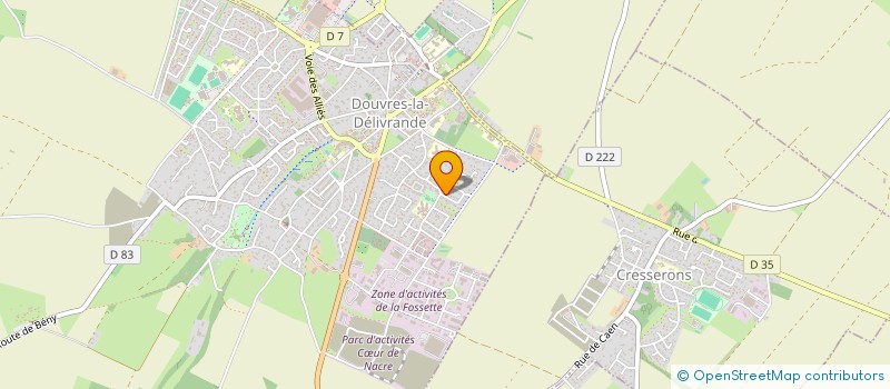 localisation de l'entreprise MONSIEUR HENRI TEINTURIER  DOUVRES-LA-DELIVRANDE