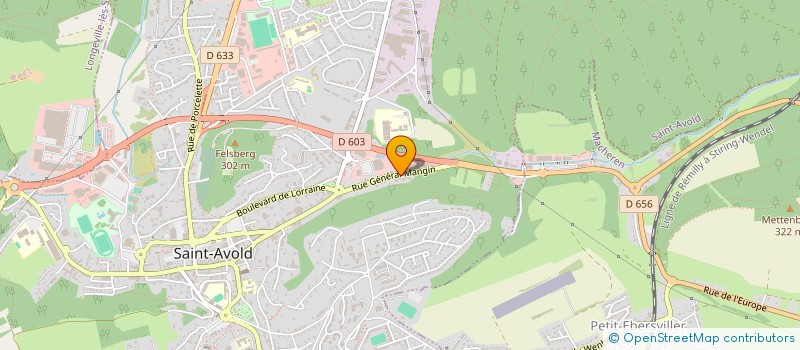 localisation de l'entreprise MONSIEUR HENRI TILLY  SAINT-AVOLD