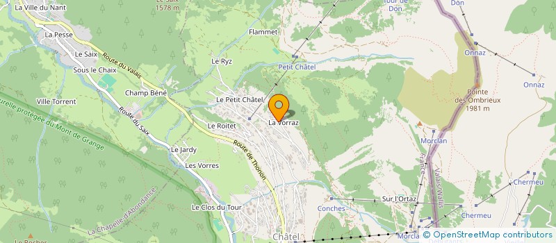 localisation de l'entreprise MONSIEUR HENRI TROLLIET  CHATEL