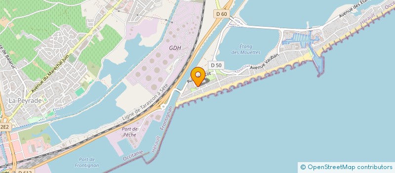 localisation de l'entreprise MONSIEUR HENRI TUDES à FRONTIGNAN