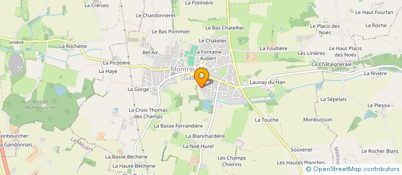 localisation de l'entreprise MONSIEUR HENRI TURBIN  MONTREUIL-LE-GAST