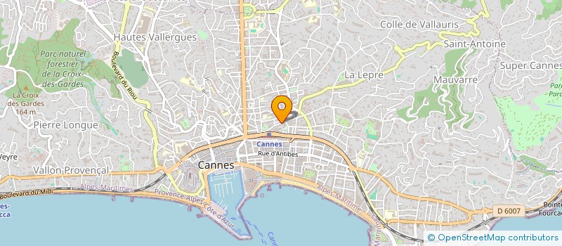 localisation de l'entreprise MONSIEUR HENRI YVON  CANNES